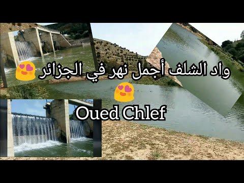 شاهد جمال واد الشلف