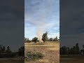 Caught this today — a sustained dust vortex forming over the Shalimar property.
