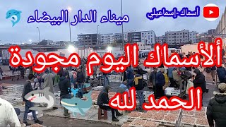 ميناء الدار البيضاء الحوث مجود الحمد لله 🦈🐬🐳