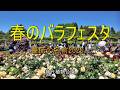 神代植物公園「春のバラフェスタ（薔薇の名前2026）」