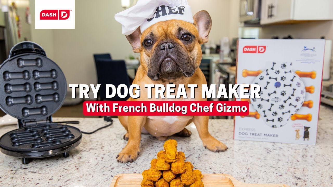 Cooking Homemade Dog Treats with Dash Express Dog Treat Maker