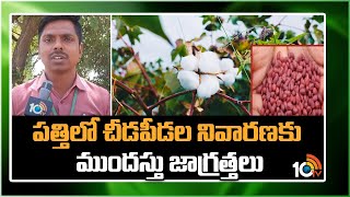 పత్తిలో చీడపీడల నివారణకు ముందస్తు జాగ్రత్తలు | Prevent Pests Control In Cotton | 10TV News