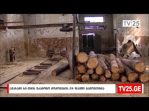 აჭარაში ხე-ტყის უკანონო მოპოვების 24 ფაქტი გამოავლინეს