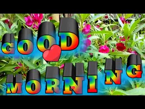 Good Morning, WhatsApp Video, Kalakaar Jhakash