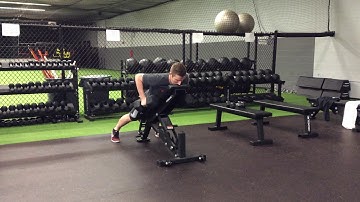 ISO DB Chest Supported Row