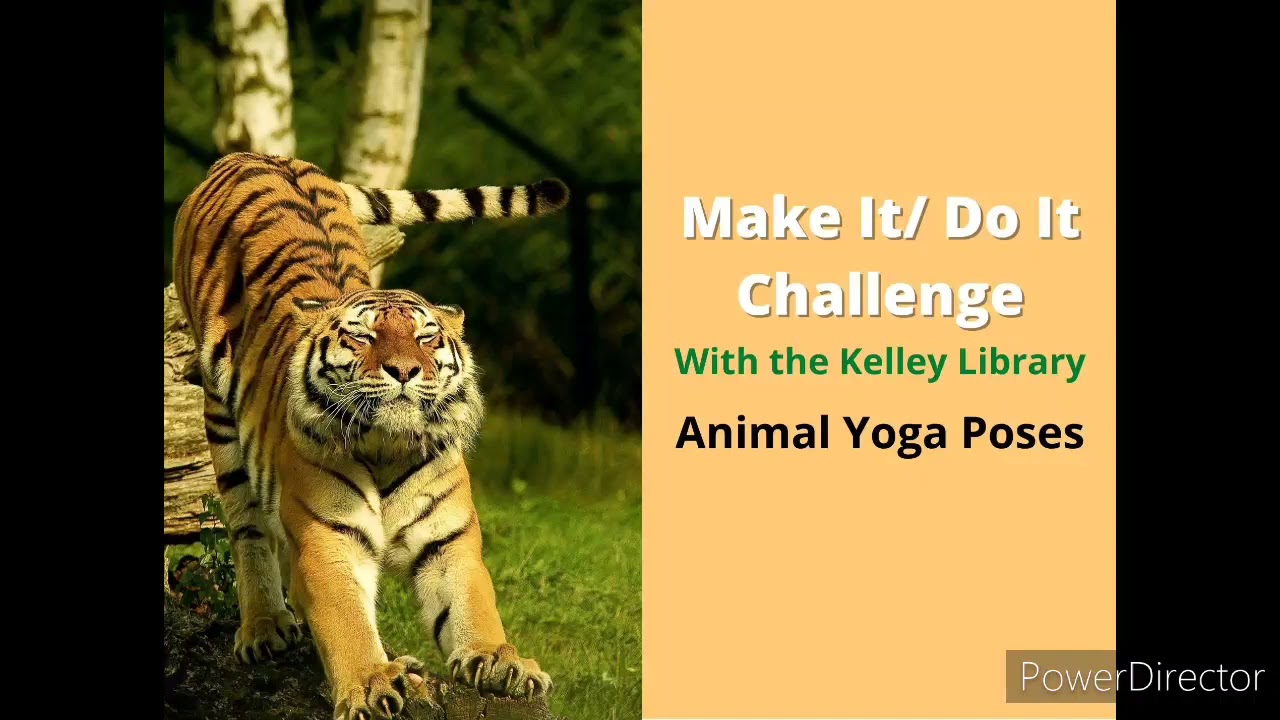 Make It Do It - Animal Yoga Poses!