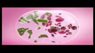 Download lagu New Lactacyd TVC Commercial (30sec)