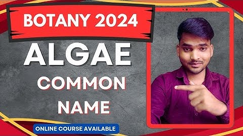 Common name of Algae | CUET Msc entrance & Assistant Professor 2025 | Course Available