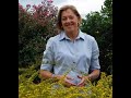 Strategies for Sustainable Landscaping with Sue Barton