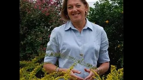 Strategies for Sustainable Landscaping with Sue Barton