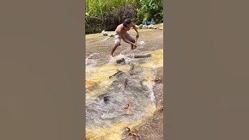 Cá Lớn - dùng vợt bắt Cá Trê Khủng dễ dàng 😱 #khacthuyvlogg