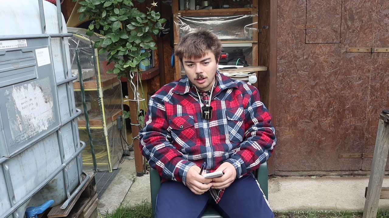 risposta ai commenti del video raccolta mais marano