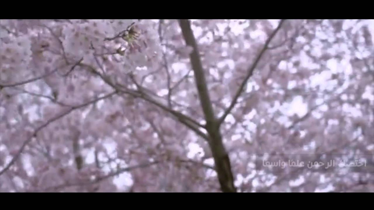 تحية إجلال . أداء : سرور الروقي .. كلمات : أمل الشقير .. مونتاج : أمل الحمود