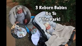 3 Reborn Babies Outing Vlog! Photoshoot At The Park!