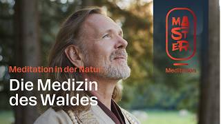 Shinrin Yoku: Wie Waldbaden Stress und Angst reduziert