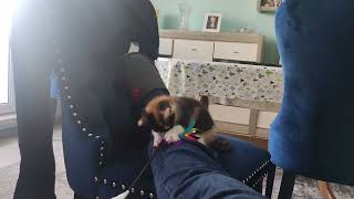 VID 20211003 131348