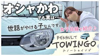 【ルノー トゥインゴ】ギャップがすごい!!クセのある愛せる相棒!!フランス生まれのトゥインゴをご紹介!♪