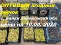 Оптовый ягодный рынок с Балки цены на ВИНОГРАД на  10.08.20 (цена поднялась, цена как на В. Копани )