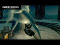 【DARK SOULS】スルーしてきたボス達を狩りに行く!!（はぐれデーモン、湖獣、プリシラ）