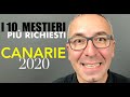 I MESTIERI piú RICHIESTI alle CANARIE nel 2020 . Lavorare a Tenerife e Gran Canaria !