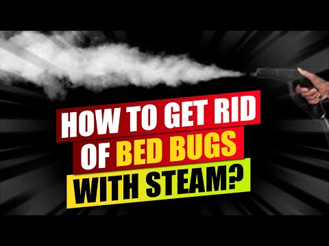 How to kill bed bugs with steam.