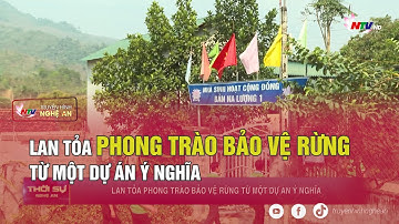 Lan tỏa phong trào bảo vệ rừng từ một dự án ý nghĩa
