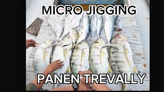 Panen!!!! microjigging betot Trevally