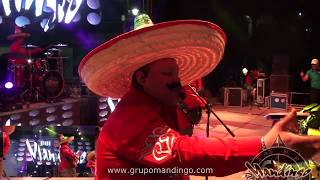 Grupo Mandingo - No Compro Amores - en vivo en Teotihuacan , Mexico 2019