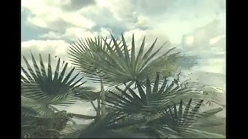 MW3 - Top 5 Throwing Knife Kills Of The Week #1