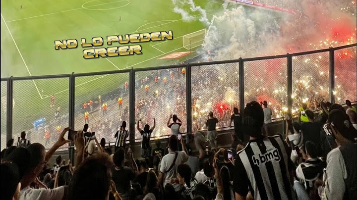 Increible Reacción de la torcida del Mineiro al recibimiento de River