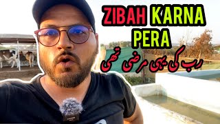 QURBANI SAY PEHLAY QURBANI HOGAI 😭 | BAKRA EID 2024 | DUSRA GHAR