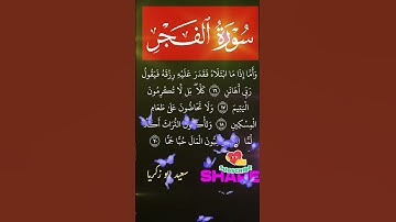 سورة الفجر تلاوة جميلة 🌺🌼 #تلاوة_خاشعة #اكسبلور #آيات #quran #duet  #voiceeffects #سورة_ #تلاوات