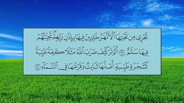 سورة إبراهيم (الآية 19 ~ الآية 31) - ياسر بن راشد الدوسري