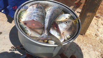 câu cá và nấu ăn trên trụ điện biển Hòn Sơn, Kiên giang/fishing and cooking at sea