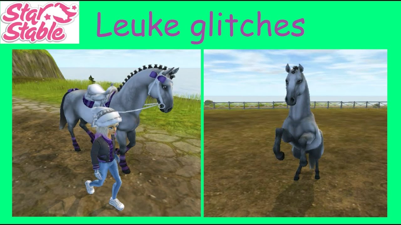 binding onwetendheid Mobiliseren Paard rent weg en wild paard glitch! (maart 2017) | Starstable Online -  YouTube