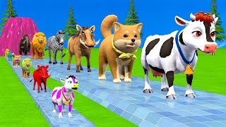 Download Lagu Long Slide Game With Cow Elephant Gorilla Hippopotamus Tiger - 3d Animal Game - Funny 3d Animals MP3