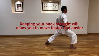 Famous Sensei Sean - Tech Tips - moving in front stance Profile