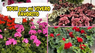 TOUR POR MI VIVERO FAVORITO