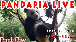 20160903 Pandapia Broadcast Live