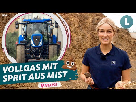 Video: Stinkt der große Hofmist?