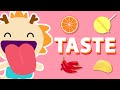 Taste   five senses song  wormhole learning  songs for kids