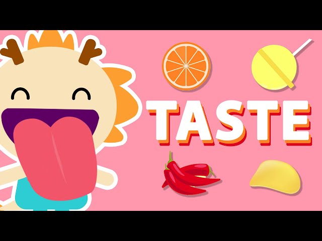 TASTE ♫ | Five Senses Song | Wormhole Learning - Songs For Kids class=