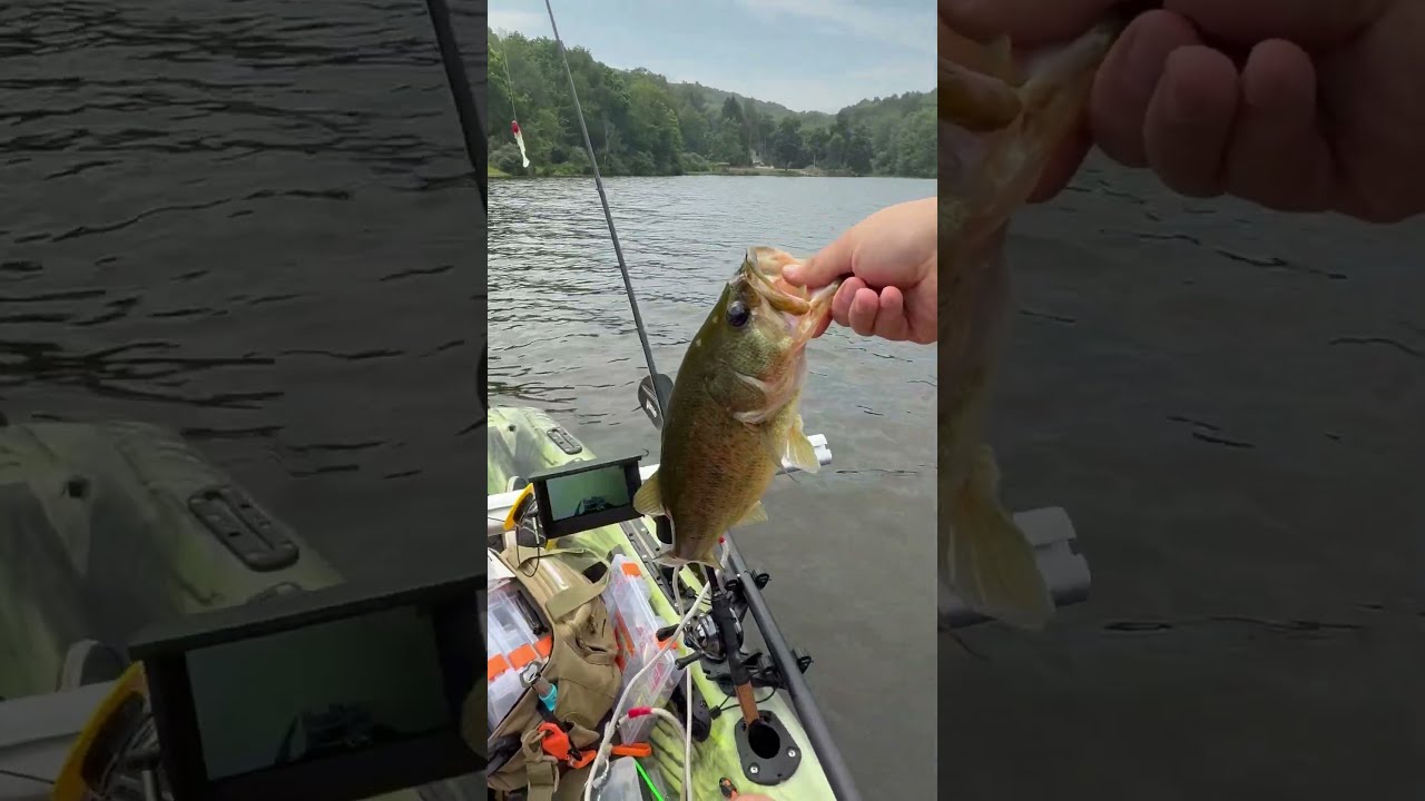 This Hit Like A Freight Train BassFishing KayakFishing FishingShorts