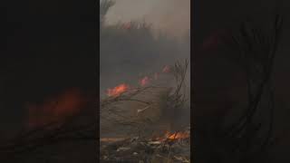 Detenidos dos ladrones de cobre por incendios en Galicia
