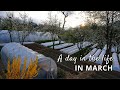 Market Gardening in March (A Day in The Life of a Farmer in March)