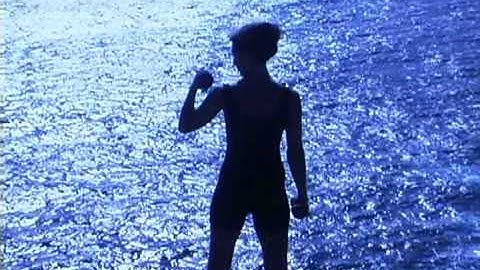 SpiceMaster Video Transitions Plugins -- Transition Example 02