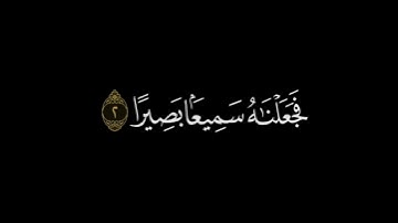 سورة الانسان|القران الكريم |شاشة سوداء|ستوريات دينيه |حالات واتس اب