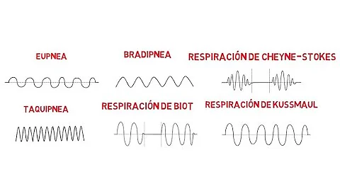 Quali sono i parametri della respirazione?