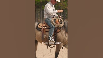 How to Fix a Buddy Sour Horse 1