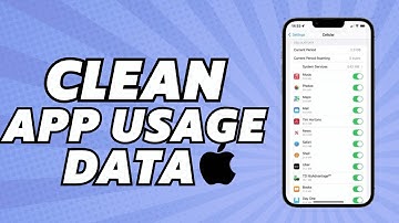 How To Clear App Usage Data On iPhone (Easy Guide 2024)